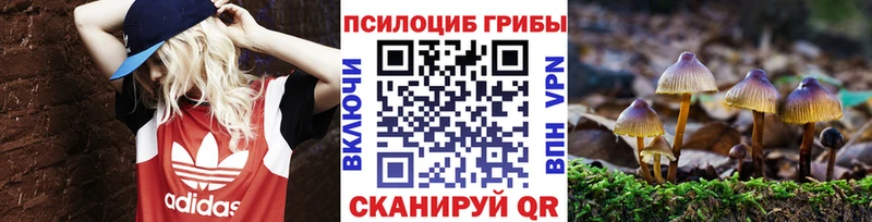 Псилоцибиновые грибы мицелий Михайловка