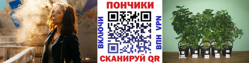 Шишки марихуана ГИДРОПОН Михайловка